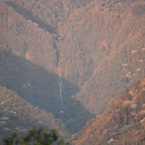 Andes 1000 m2 de bosque